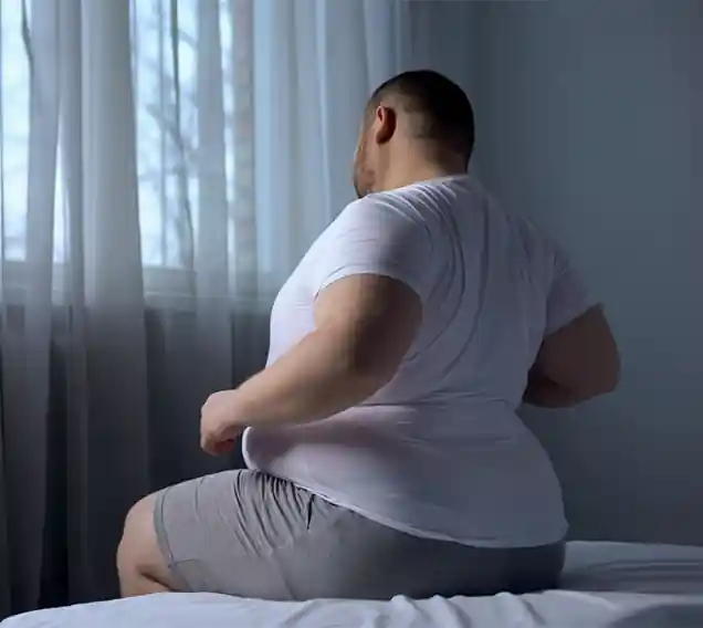 Key Factors Influencing Obesity in Urban Adults: Study Insights